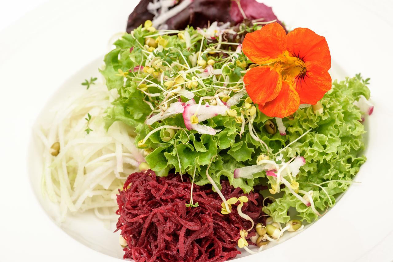 Berghues Schratt - Einfach Anders - Ihr Vegetarisches Und Veganes Biohotel オーバーシュタウフェン エクステリア 写真