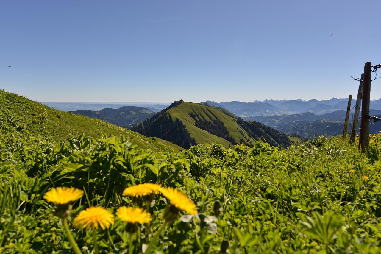 Berghues Schratt - Einfach Anders - Ihr Vegetarisches Und Veganes Biohotel オーバーシュタウフェン エクステリア 写真